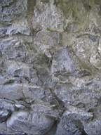 bellanamullia - 1219.JPG